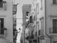 202504_Mola_di_Bari-85