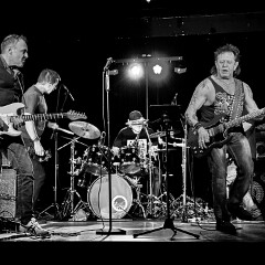 20260207_Concert_Hygiaphone_#017_(0869)