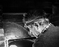 Le fournil de l’Hof ter Musschen Lutage du four (intérieur de la porte)