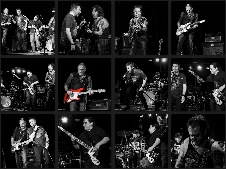 Album photos du concert Tribute to Téléphone par le groupe belge Hygiaphone