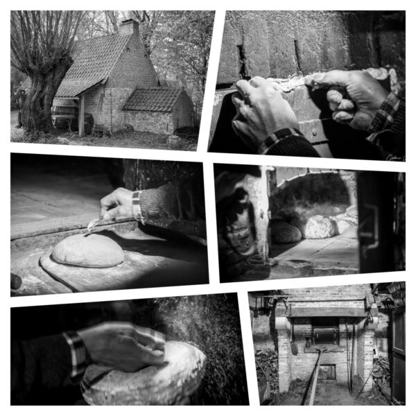 Reportage photographique sur une fournée banale au fournil de l’Hof ter Musschen à Woluwé Saint-Lambert (Bruxelles)