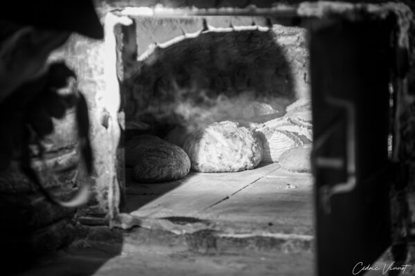 Le fournil de l’Hof ter Musschen à Woluwé Saint-Lambert (Bruxelles) - Ouverture du four à pain après la cuisson.